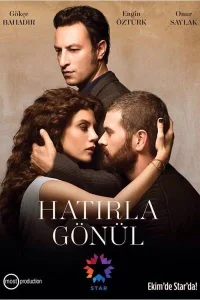Вспомни, Гёнюль турецкий сериал